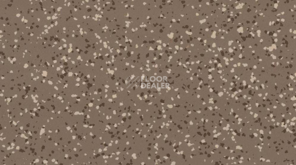 Линолеум Taralay Premium Compact Barazilia 8062 CAMPINAS фото 1 | FLOORDEALER